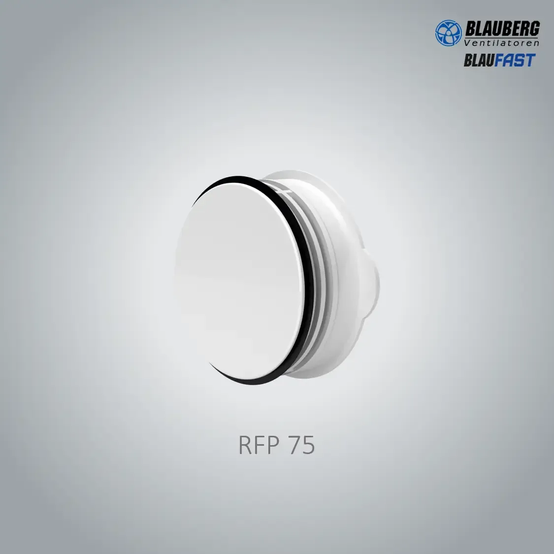 BlauFast 75 - RFP75 Flange Cap